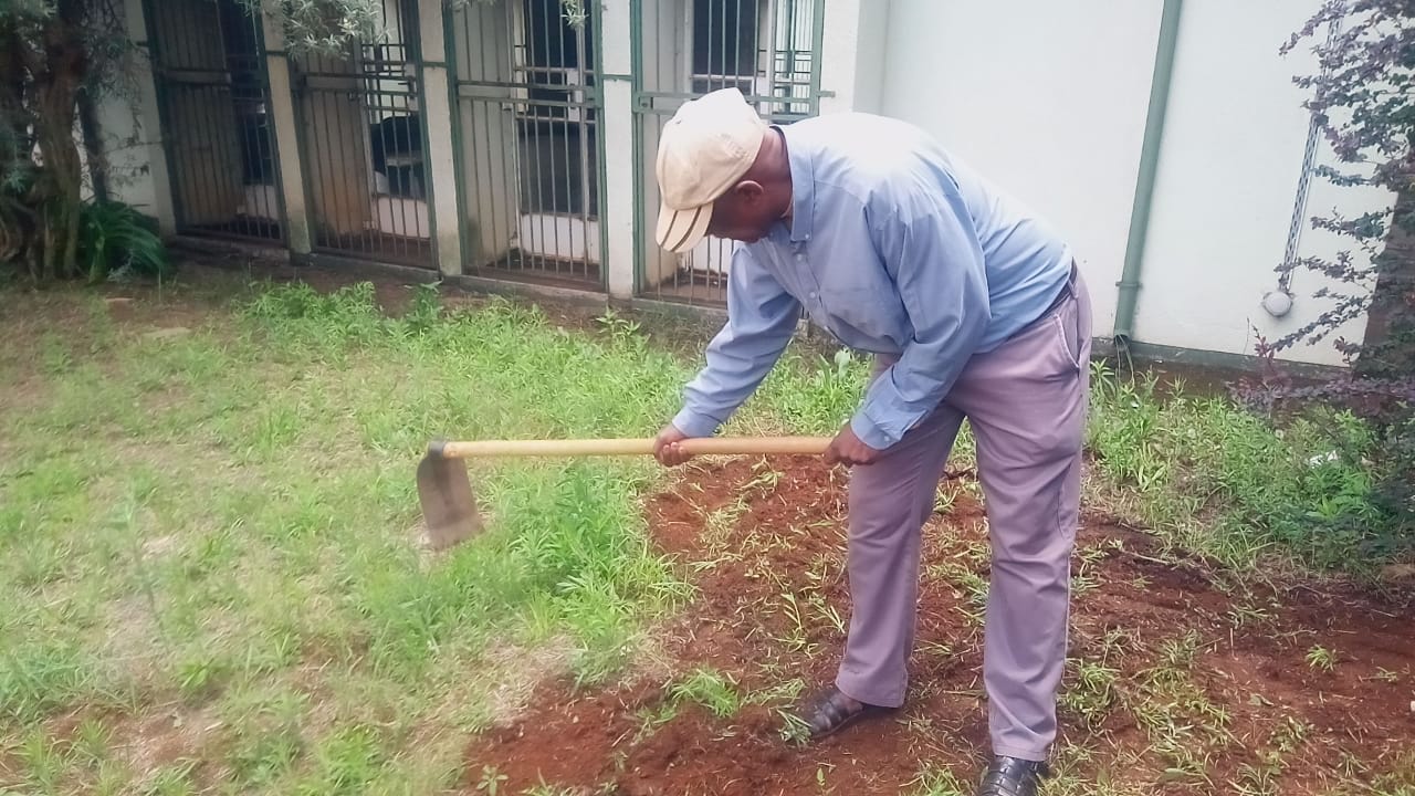 Men tidying and working in the yard